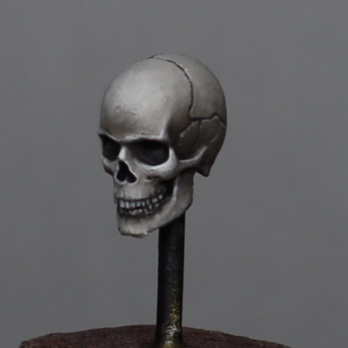 Mastering Human Skulls Hosted by Matt Cantor (event ticket for 8/23/26)