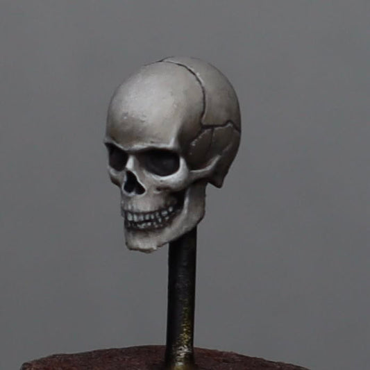 Mastering Human Skulls Hosted by Matt Cantor (event ticket for 8/23/26)