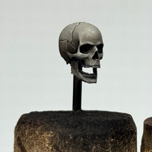 Mastering Human Skulls Hosted by Matt Cantor (event ticket for 8/23/26)
