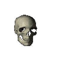 Mastering Human Skulls Hosted by Matt Cantor (event ticket for 8/23/26)